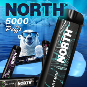 North Vape 5000 Puffs