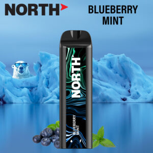 North Vape Blueberry Mint