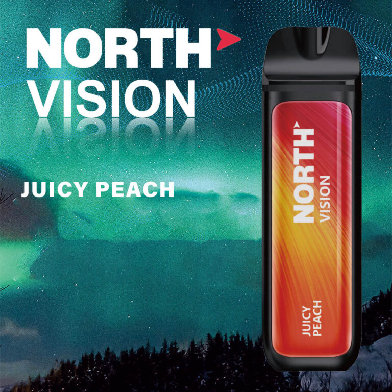 North VIsion Disposable Vape Device | Juicy Peach