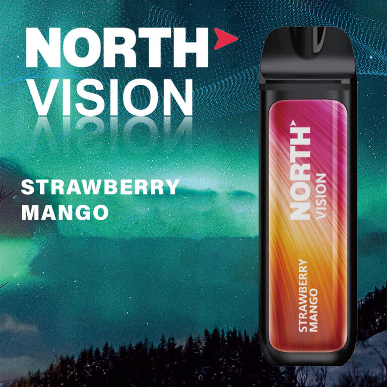 North VIsion Disposable Vape Device |