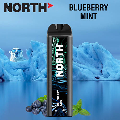 North 5000 Disposable Nicotine Vaping Device Blueberry Watermelon