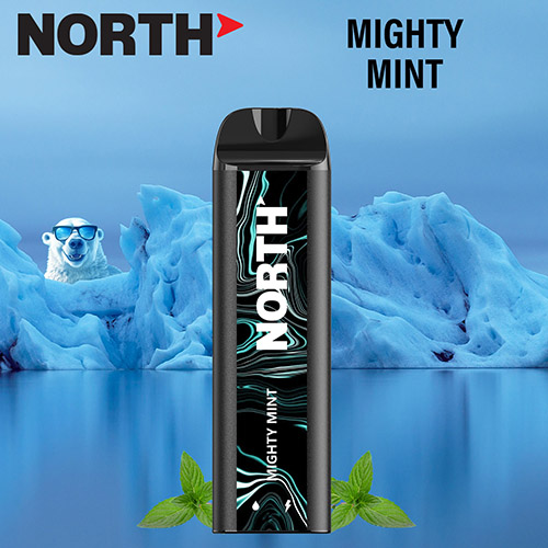 North 5000 Disposable Nicotine Vaping Device Mighty Mint
