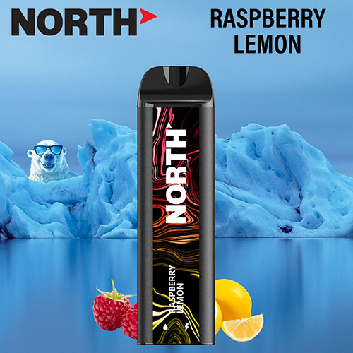 North 5000 Disposable Nicotine Vaping Device Raspberry Lemon