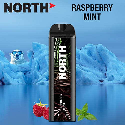 North 5000 Disposable Nicotine Vaping Device Raspberry Mint