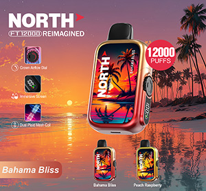 North FT12000 REIMAGINED Disposable Nicotine Vape Devices - Bahama Bliss