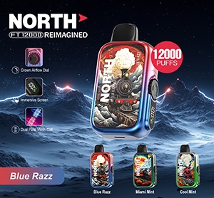 North FT12000 REIMAGINED Disposable Nicotine Vape Devices - Blue Razz