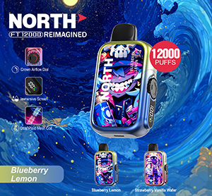 North FT12000 REIMAGINED Disposable Nicotine Vape Devices - Blueberry Lemon