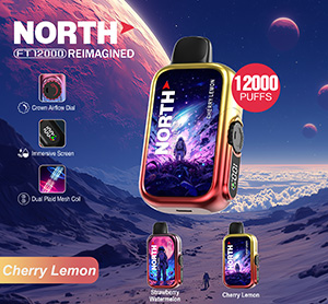 North FT12000 REIMAGINED Disposable Nicotine Vape Devices - Cherry Lemon