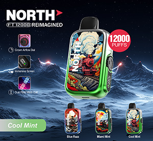 North FT12000 REIMAGINED Disposable Nicotine Vape Devices - Cool Mint