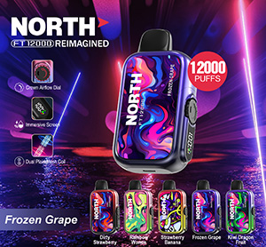 North FT12000 REIMAGINED Disposable Nicotine Vape Devices