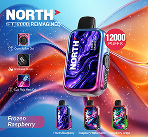 North FT12000 REIMAGINED Disposable Nicotine Vape Devices - Frozen Raspberry