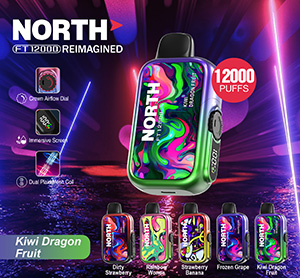 North FT12000 REIMAGINED Disposable Nicotine Vape Devices - Kiwi Dragon Fruit