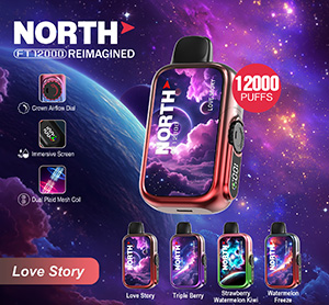 North FT12000 REIMAGINED Disposable Nicotine Vape Devices - Love Story