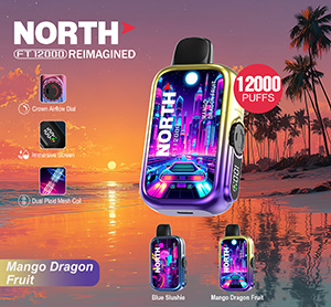 North FT12000 REIMAGINED Disposable Nicotine Vape Devices - Mango Dragon Fruit