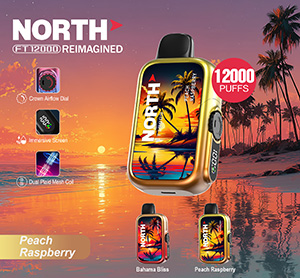 North FT12000 REIMAGINED Disposable Nicotine Vape Devices - Peach Raspberry