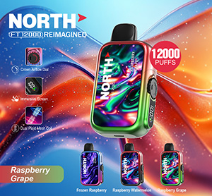 North FT12000 REIMAGINED Disposable Nicotine Vape Devices - Raspberry Grape