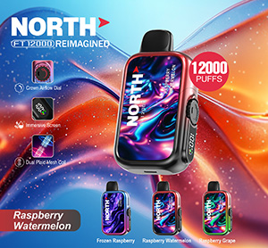 North FT12000 REIMAGINED Disposable Nicotine Vape Devices - Raspberry Watermelon