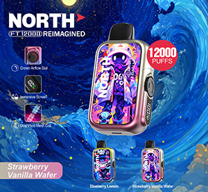 North FT12000 REIMAGINED Disposable Nicotine Vape Devices - Strawberry Vanilla Wafer