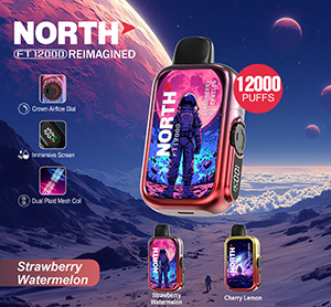 North FT12000 REIMAGINED Disposable Nicotine Vape Devices - Strawberry Watermelon
