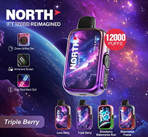 North FT12000 REIMAGINED Disposable Nicotine Vape Devices - TRIPLE BERRY